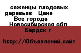 саженцы плодовых деревьев › Цена ­ 6 080 - Все города  »    . Новосибирская обл.,Бердск г.